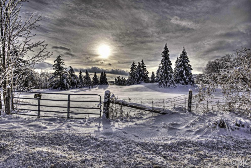 WinterScene